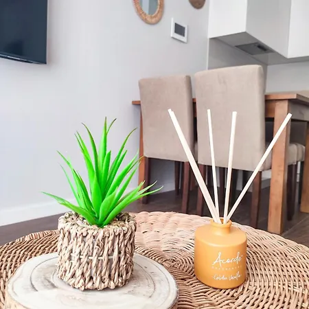 아파트 Terro Collection - Souto 23 브라가