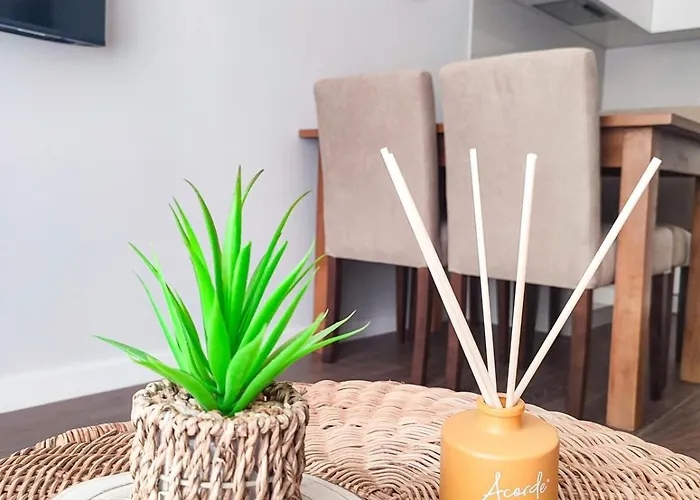 Apartament Terro Collection - Souto 23 Braga